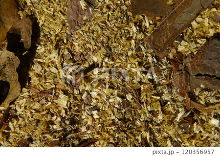 Wood Shavings and Sawdust Scattered on the Ground in a Workshop Area During Daylight Hours Wood Shavings and Sawdust Scattered on the Ground in a Workshop Area During Daylight Hours 120356957