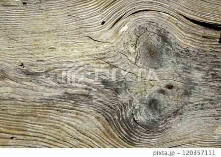 Close-up View of a Weathered Wooden Board Showcasing Intricate Fiber Structure and Natural Grain Close-up View of a Weathered Wooden Board Showcasing Intricate Fiber Structure and Natural Grain 120357111