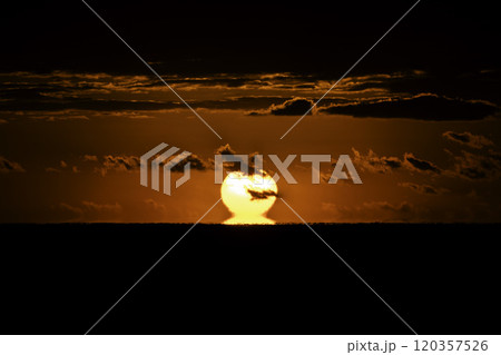 だるま朝日 だるま朝日 120357526