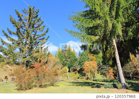 シェーンガルテンおみ 120357968