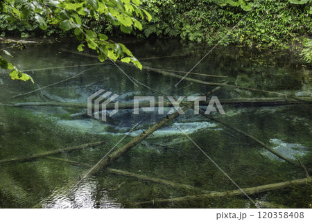 神秘の神の子池 神秘の神の子池 120358408