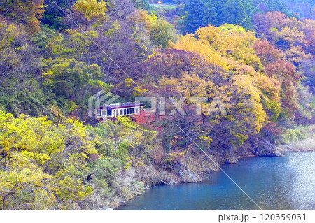 紅葉の中を走るわたらせ渓谷鉄道 紅葉の中を走るわたらせ渓谷鉄道 120359031