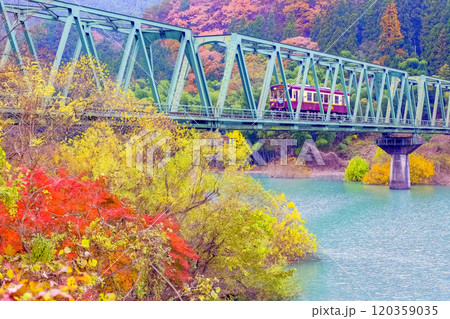 秋の渡良瀬川を渡る列車 120359035