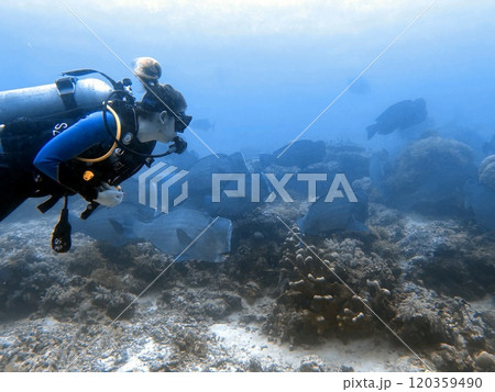 Mabul Island, the base for diving in Sipadan Island, Sabah state in Malaysia. Mabul Island, the base for diving in Sipadan Island, Sabah state in Malaysia. 120359490