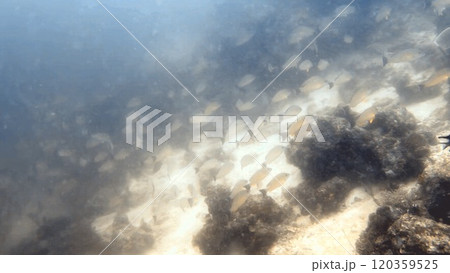 Mabul Island, the base for diving in Sipadan Island, Sabah state in Malaysia. Mabul Island, the base for diving in Sipadan Island, Sabah state in Malaysia. 120359525