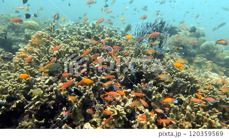 Mabul Island, the base for diving in Sipadan Island, Sabah state in Malaysia. 120359569