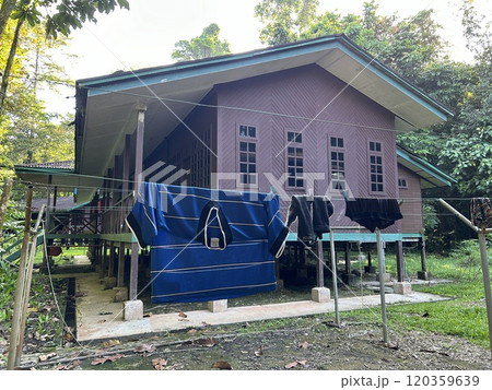 DEER Cave - Show cave tour at Gunung Mulu National Park 120359639