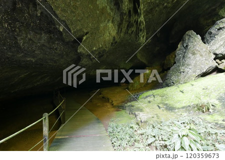 DEER Cave - Show cave tour at Gunung Mulu National Park 120359673