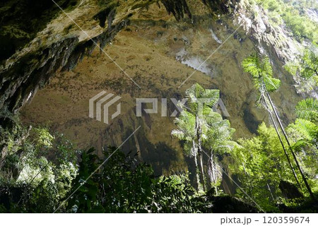 DEER Cave - Show cave tour at Gunung Mulu National Park DEER Cave - Show cave tour at Gunung Mulu National Park 120359674