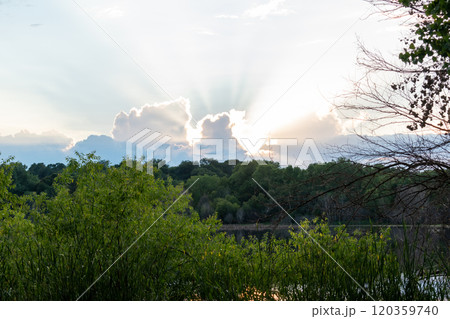 A stunning sunset and God's rays over a local MN lake with lots of greenery. 120359740