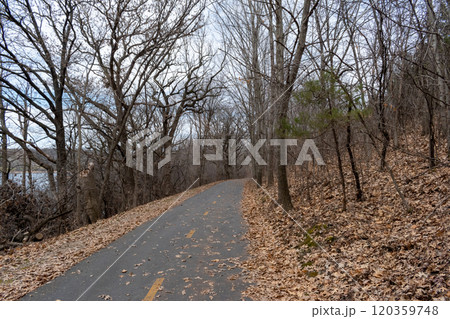 A paved walking path at a local Minnesota park surrounded by grass and trees. 120359748