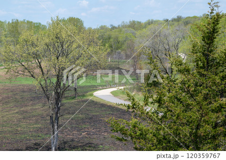 A paved walking path at a local Minnesota park surrounded by grass and trees. 120359767