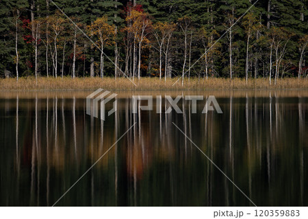 秘境湖オンネトーの美しい紅葉 120359883
