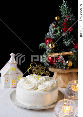 クリスマスケーキ 120359919