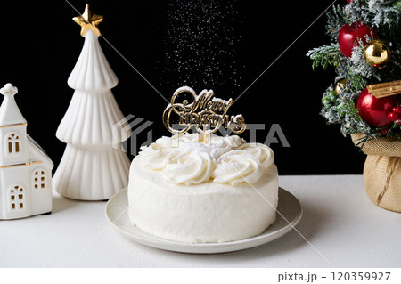 クリスマスケーキ 120359927