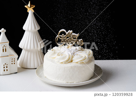 クリスマスケーキ 120359928
