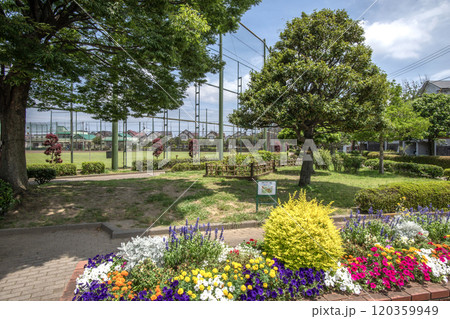 富岡西公園 神奈川県横浜市金沢区富岡西 富岡西公園 神奈川県横浜市金沢区富岡西 120359949