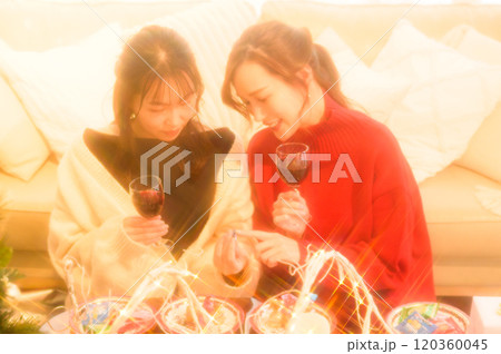 ホームパーティでワインの乾杯する二人の女性　　 120360045
