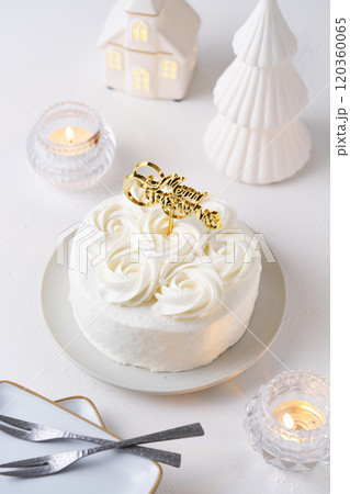 クリスマスケーキ 120360065