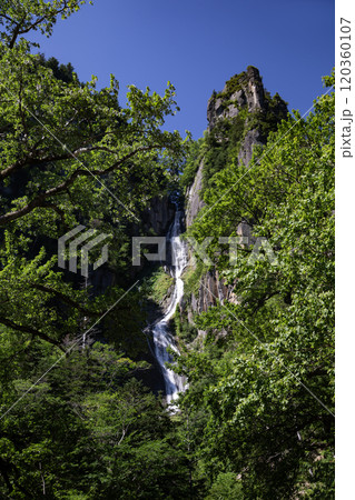 新緑美しい層雲峡の銀河の滝 120360107