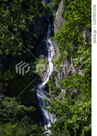新緑美しい層雲峡の銀河の滝 新緑美しい層雲峡の銀河の滝 120360108
