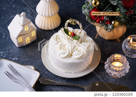クリスマスケーキ 120360209