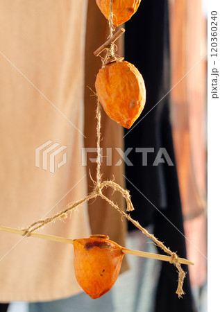 洗濯物と一緒に干されている完成を待つ干し柿 120360240