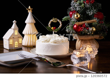 クリスマスケーキ 120360572