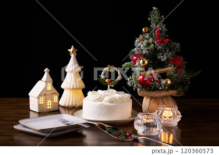 クリスマスケーキ 120360573