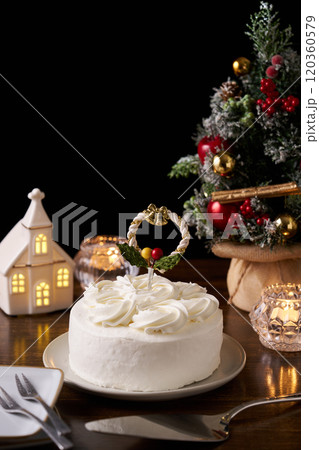 クリスマスケーキ クリスマスケーキ 120360579