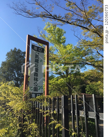 武蔵丘陵森林公園の景色 120360733