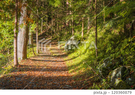 御嶽神社横の御嶽古道【木曽郡木曽町三岳】 御嶽神社横の御嶽古道【木曽郡木曽町三岳】 120360879