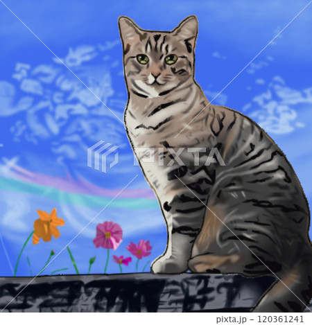 無題 無題 120361241