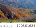 黄葉に包まれた高原 120361623