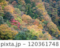 紅葉した山 120361748