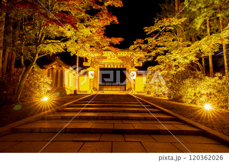 高野山　金峯山寺 120362026