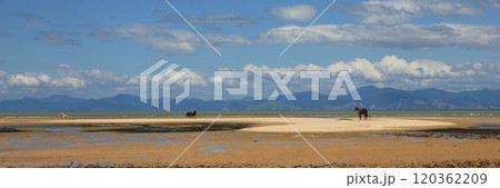 Summer day at Marahau Beach, New Zealand. 120362209