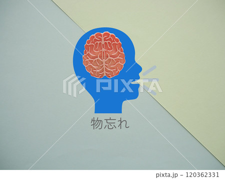 脳の模型イメージと物忘れの文字 120362331