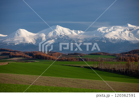 晩秋を迎えたカラ松の紅葉大地 120362591