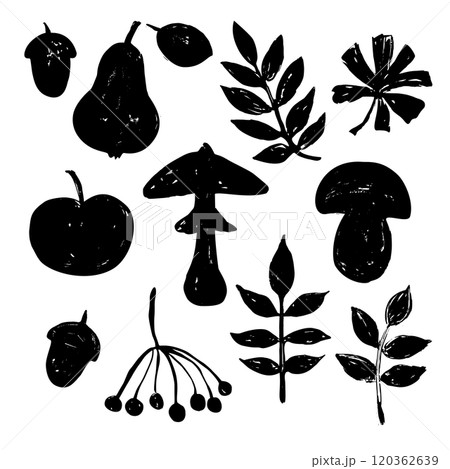 Mushrooms, leaves and fruits in woodcut style. Minimalistic textured hand-drawn illustration. Mushrooms, leaves and fruits in woodcut style. Minimalistic textured hand-drawn illustration. 120362639