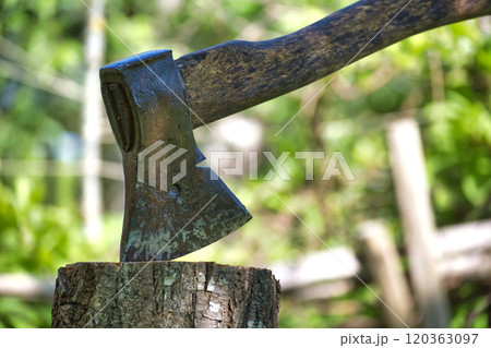 A close-up view of a rustic axe lodged in a tree stump, set against the backdrop of a sunlit garden 120363097