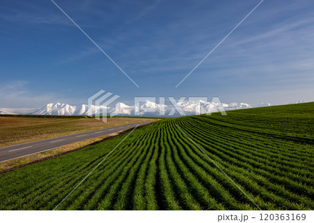 初雪の山と美しい道 120363169