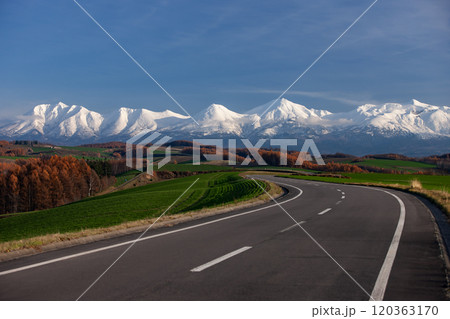 初雪の山と美しい道 初雪の山と美しい道 120363170