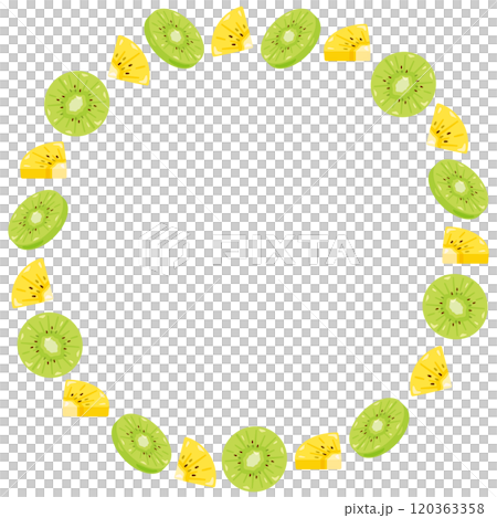 2色のキウイの丸枠イラスト 120363358