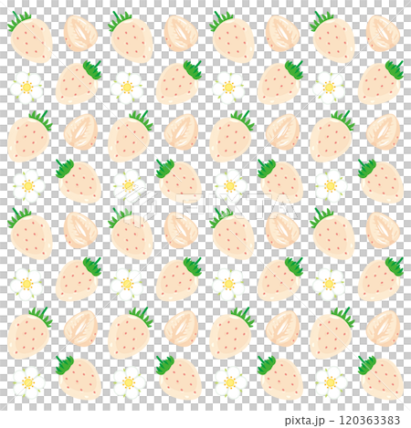 白苺の背景イラスト2 120363383