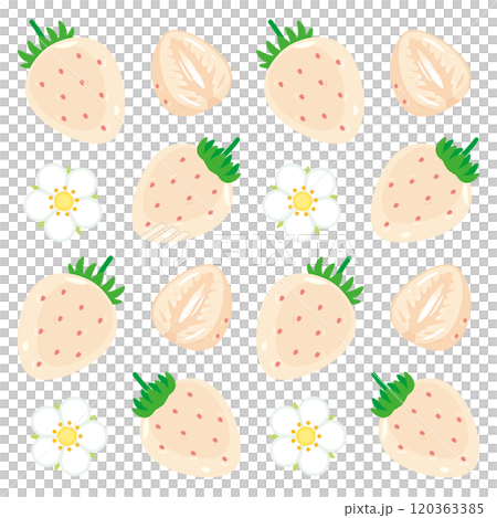 白苺の背景イラスト1 120363385