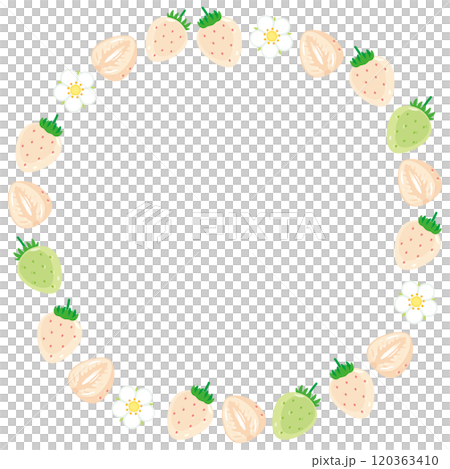 白苺の丸枠イラスト2 120363410