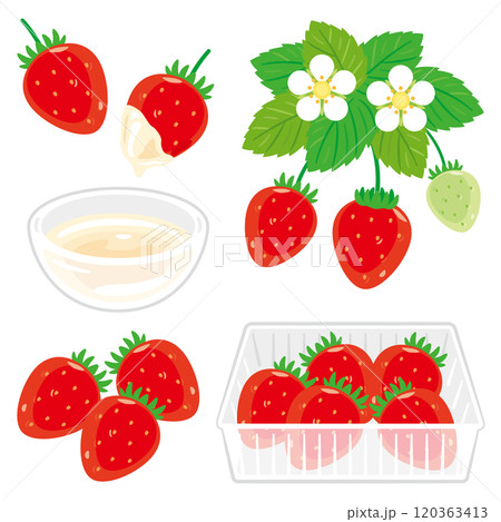 苺狩りセット 苺狩りセット 120363413