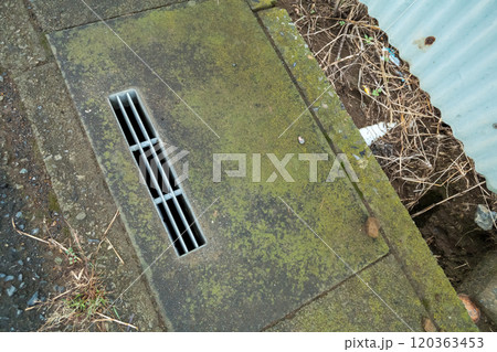 緑色に変色している側溝の蓋 120363453