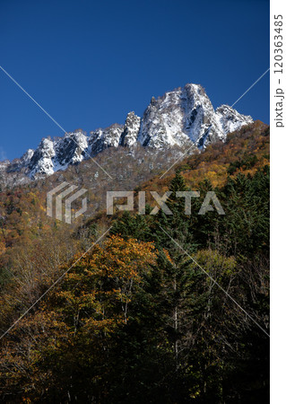 定山渓の秋紅葉 120363485